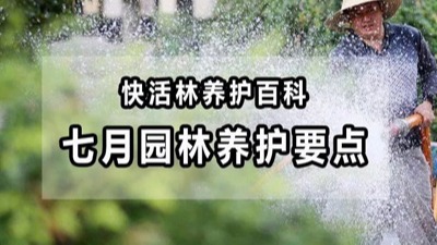 【園林養(yǎng)護(hù)百科】河南中威淺析七月份園林養(yǎng)護(hù)要點(diǎn)，這些事兒不能忽略