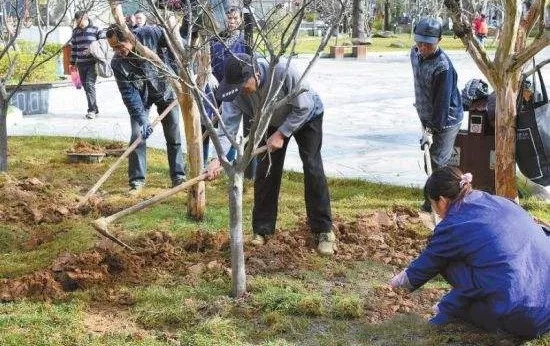 快活林,快活林園林養(yǎng)護,喬木管理,快活林涂白劑,快活林愈傷膏