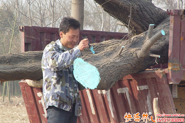 快活林愈傷膏使用