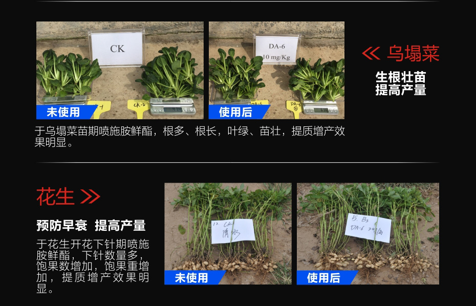 DA-6胺鮮酯效果