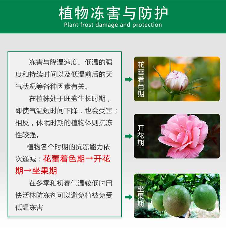 植物凍害與防護(hù)