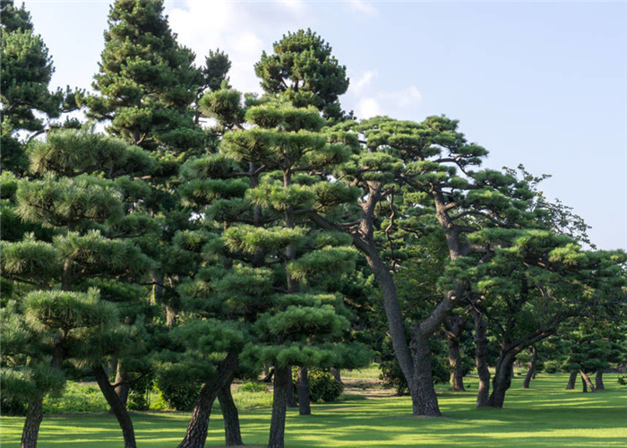 根得勁 河南中威 15737183093