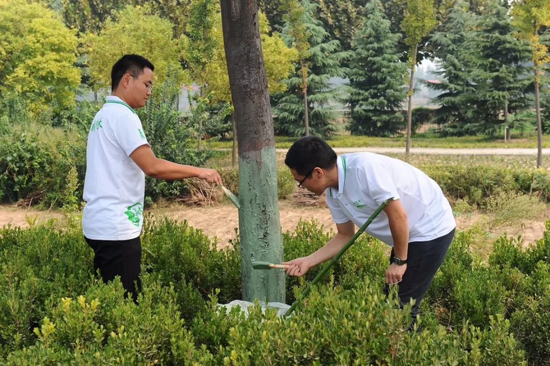 中威,中威春雨,核桃秋冬養(yǎng)護,快活林涂白劑，快活林防凍劑