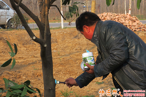 快活林愈傷膏使用