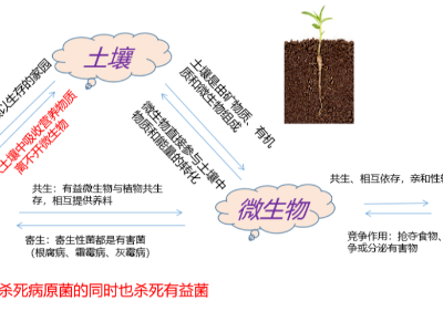 【新品上市】養(yǎng)根護根，提高免疫，促花保果，活化土壤，提高品質(zhì)——菌機密