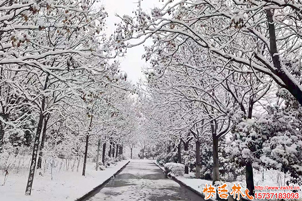 快活林降雪養(yǎng)護(hù)