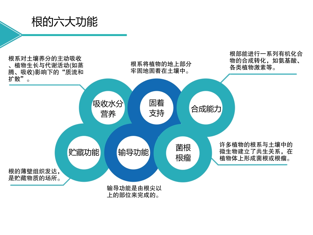 中威春雨吲哚丁酸鉀生根原藥400-779-1088