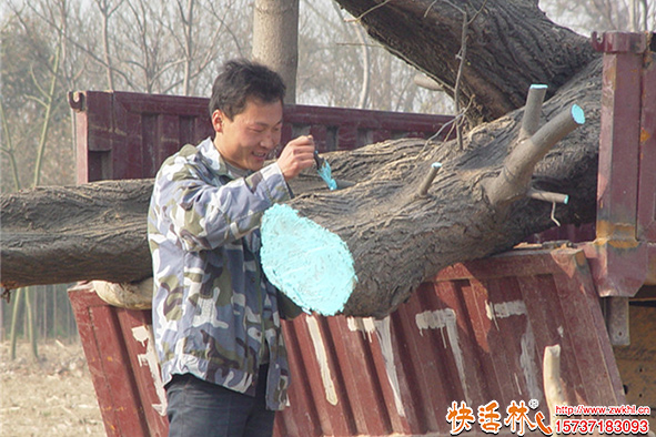 快活林愈傷膏使用情況